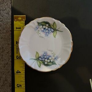 Petri Dish with blue floral